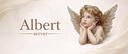 Discovery splash banner for Albert Discord server