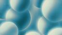 Discovery splash banner for Paradise Community Discord server