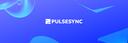 Discovery splash banner for PulseSync Discord server