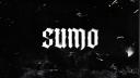 Discovery splash banner for Official Sumo Community Discord server