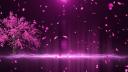 Discovery splash banner for ISHQ🌷India - Indian Community • Hindi • Active • desi (fun) • Vc • Indian discord server Discord server