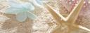 Discovery splash banner for /𝒥ellyous 𓂃 ࣪𓇼 #apps Discord server