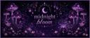 Discovery splash banner for ππππππππ πππππ Discord server