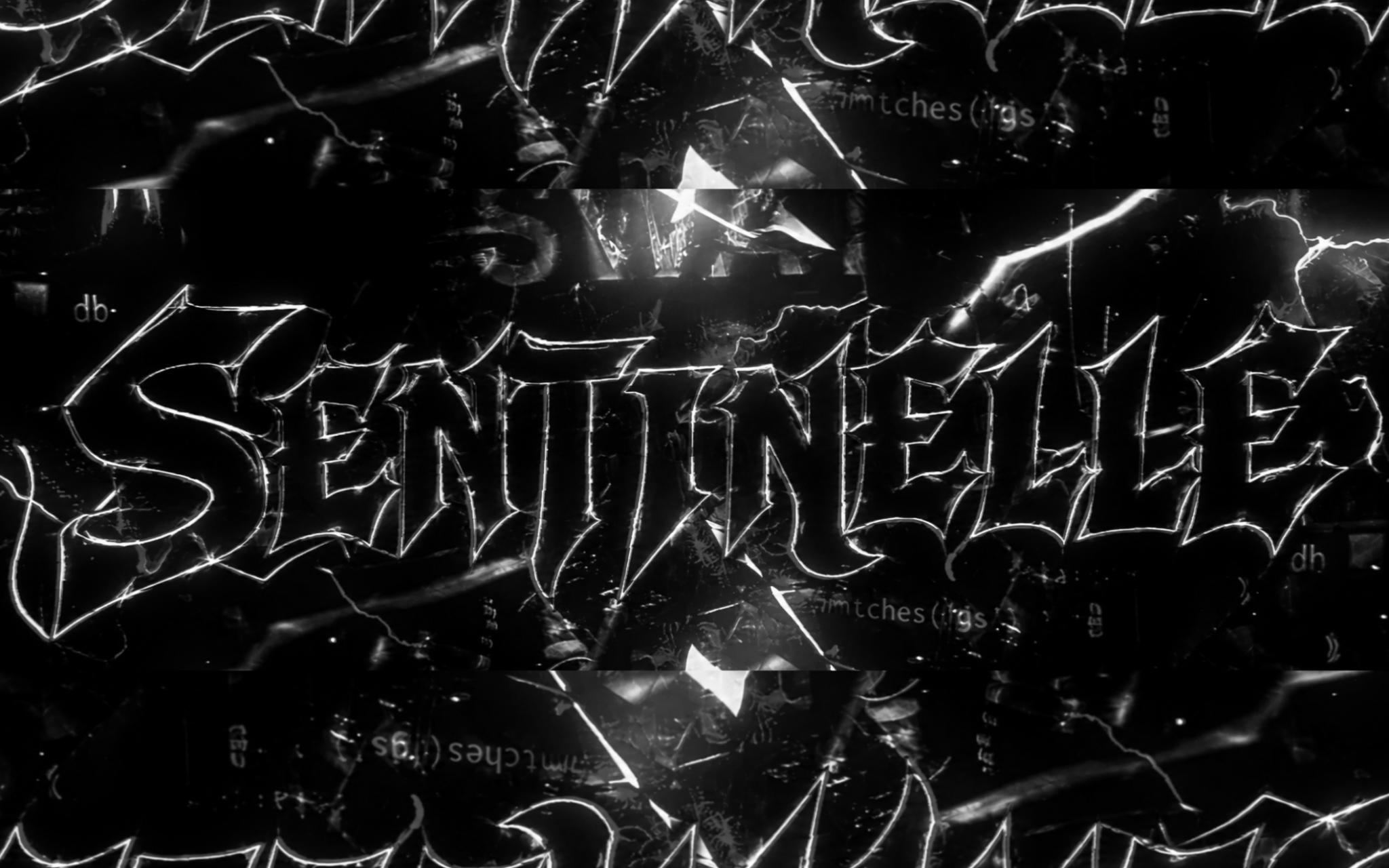 Discovery splash banner for 🏴☠ • Sentinelle Discord server