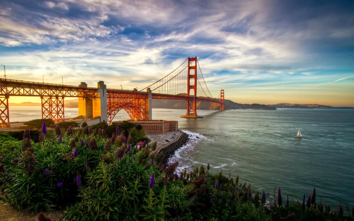 Discovery splash banner for San Francisco 🌉 Discord server