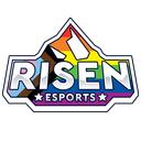 Discovery splash banner for Risen Esports Discord server