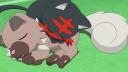 Discovery splash banner for 『🎩』Region Pokemon Discord server