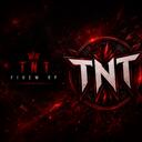 Discovery splash banner for TNT RP Discord server
