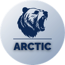 Discovery icon for Arctic Discord server