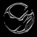Discovery icon for SHINee Discord server