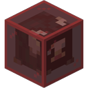 Discovery icon for Collectors Hub Discord server