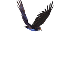 Discovery icon for Kexari's Server Discord server